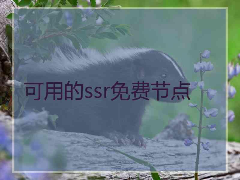 可用的ssr免费节点