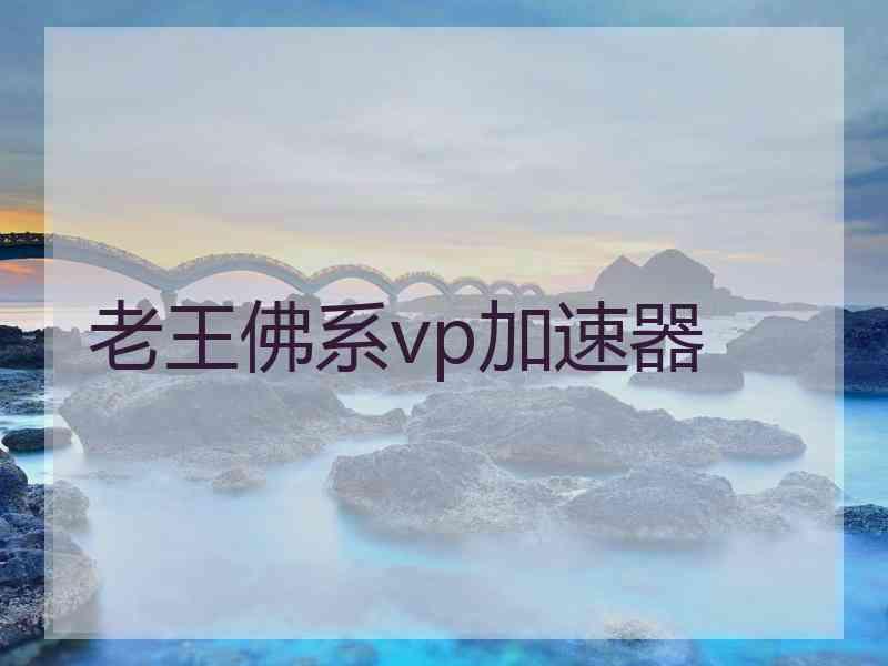 老王佛系vp加速器