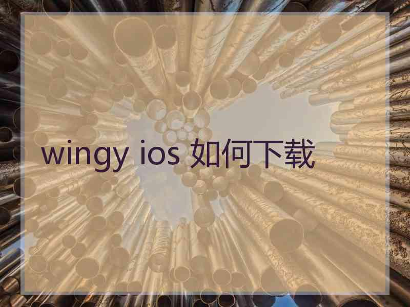 wingy ios 如何下载