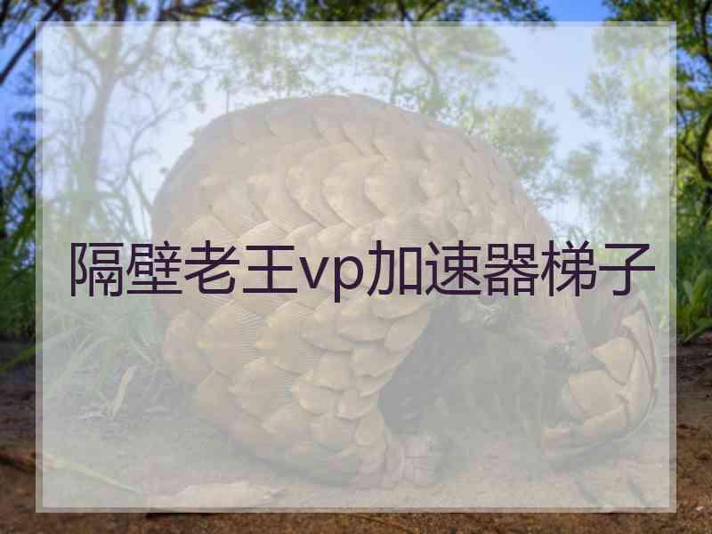 隔壁老王vp加速器梯子