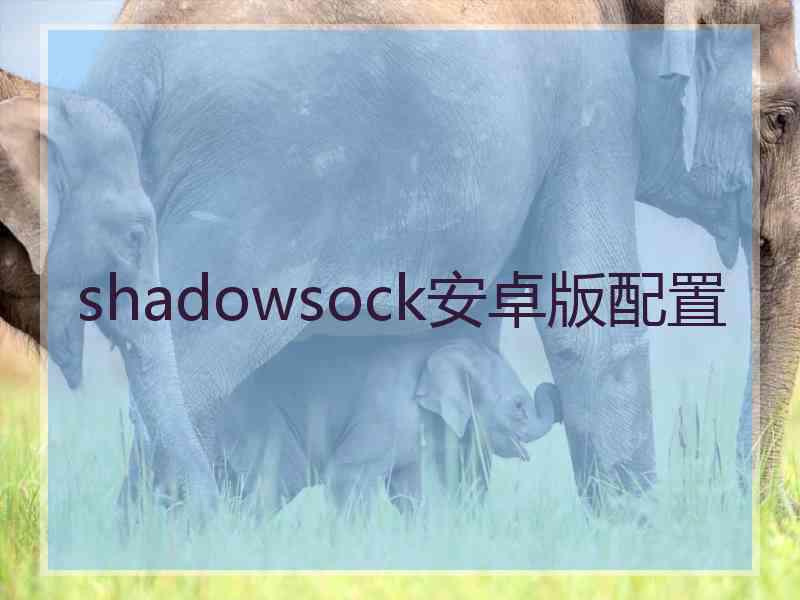 shadowsock安卓版配置