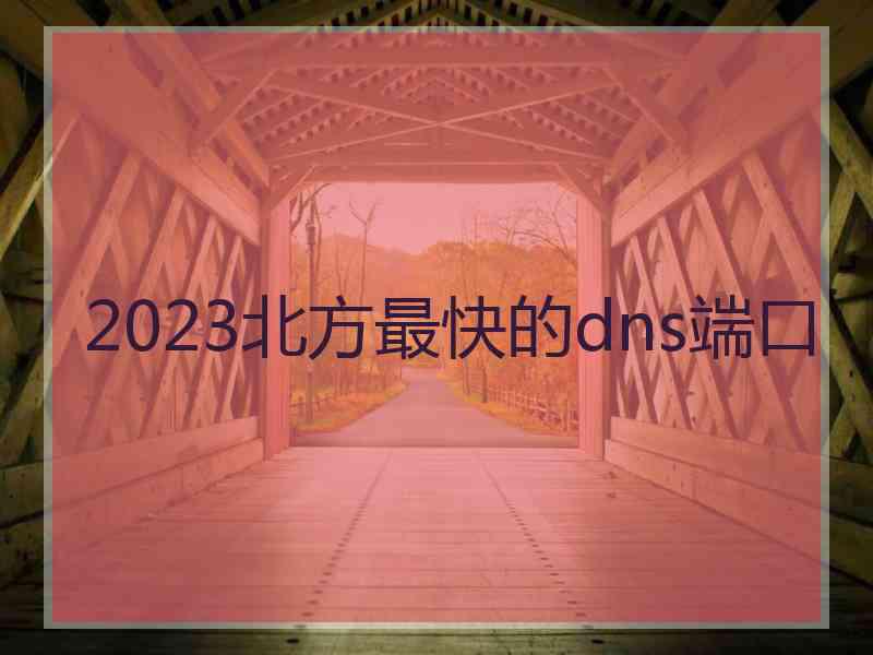 2023北方最快的dns端口