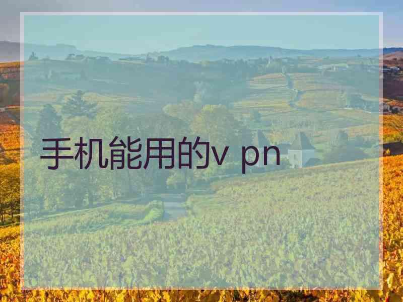 手机能用的v pn