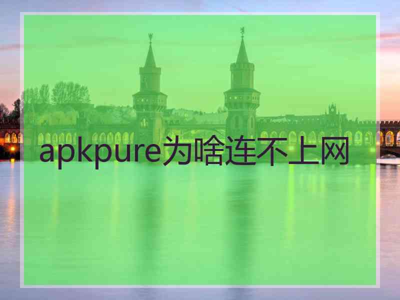 apkpure为啥连不上网