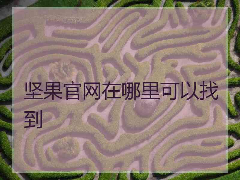 坚果官网在哪里可以找到