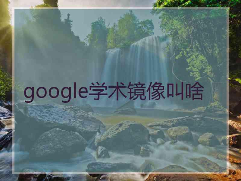 google学术镜像叫啥