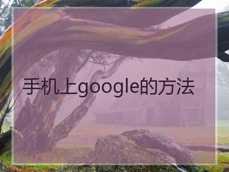 手机上google的方法