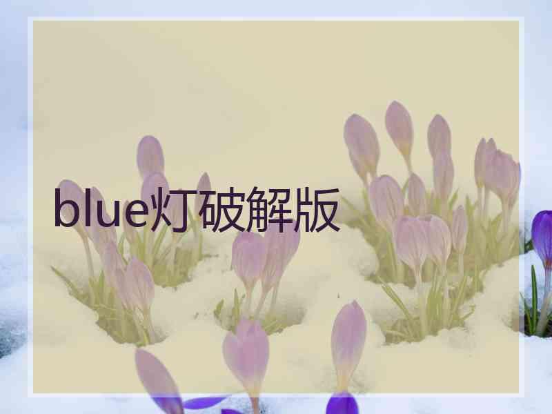 blue灯破解版