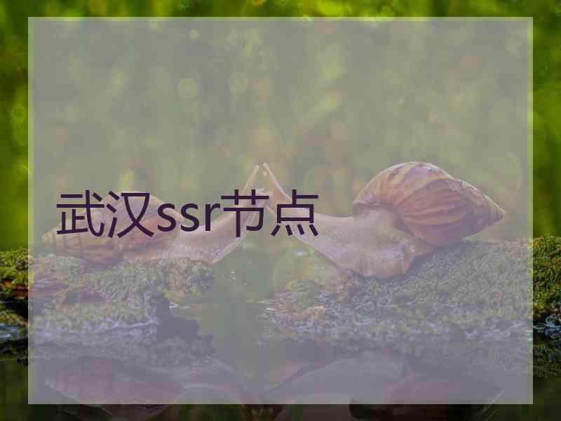 武汉ssr节点