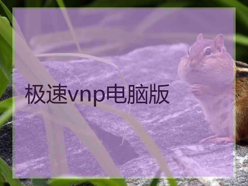 极速vnp电脑版