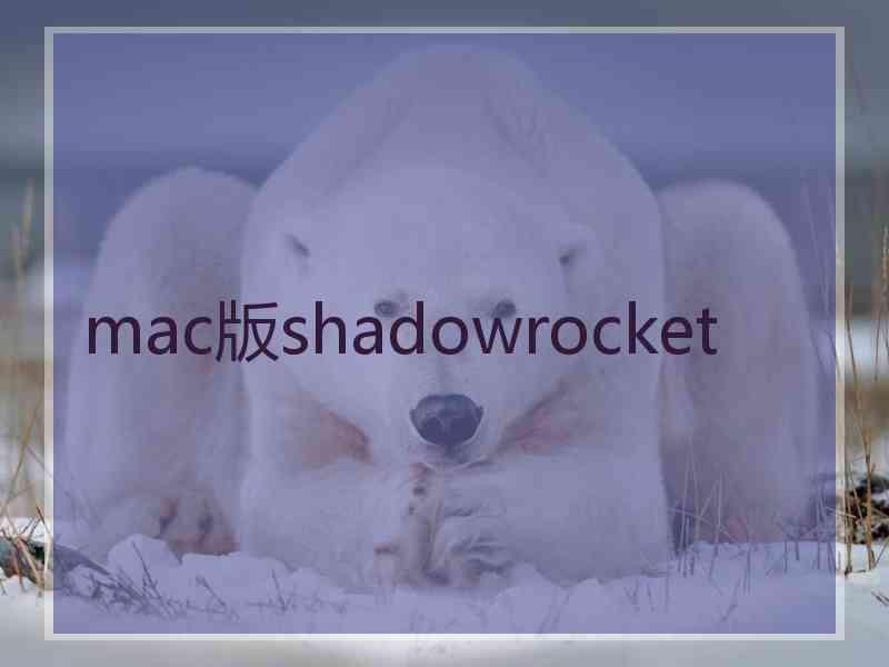 mac版shadowrocket