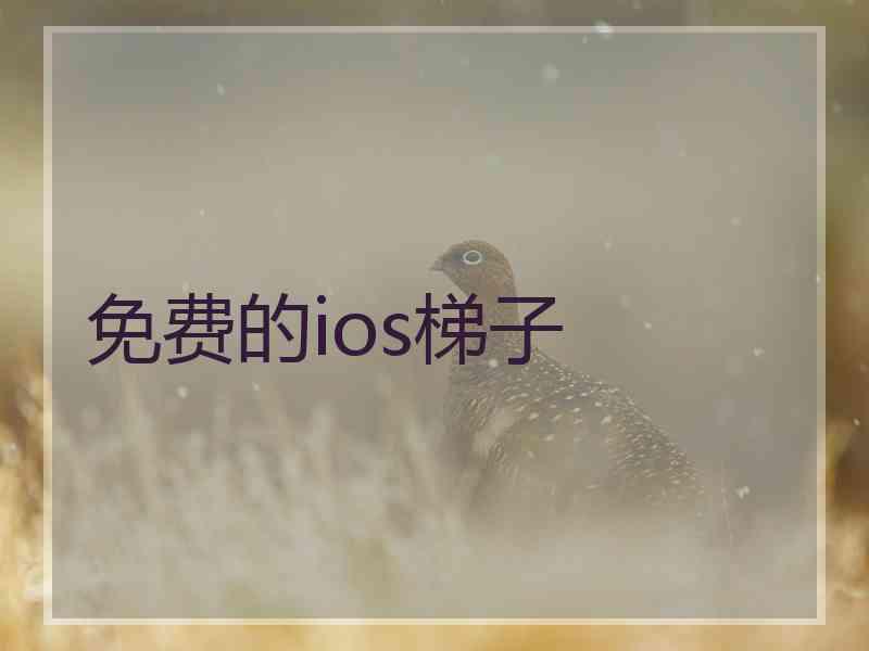 免费的ios梯子