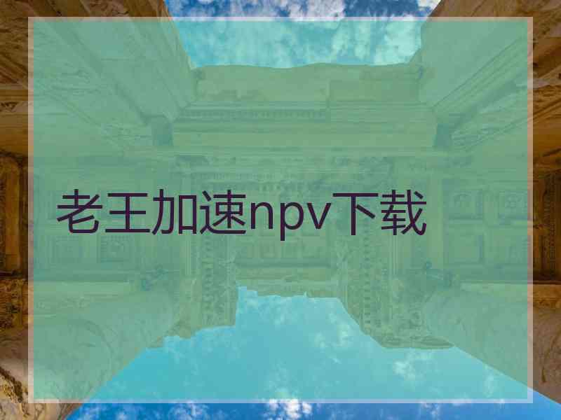 老王加速npv下载