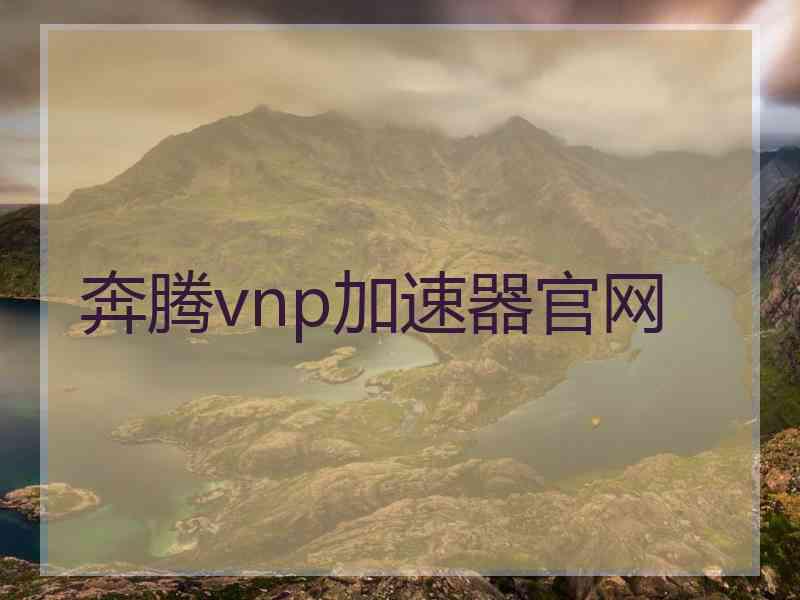 奔腾vnp加速器官网