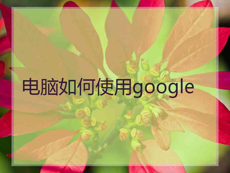 电脑如何使用google