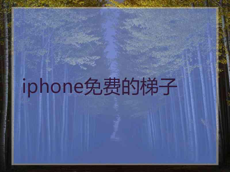 iphone免费的梯子