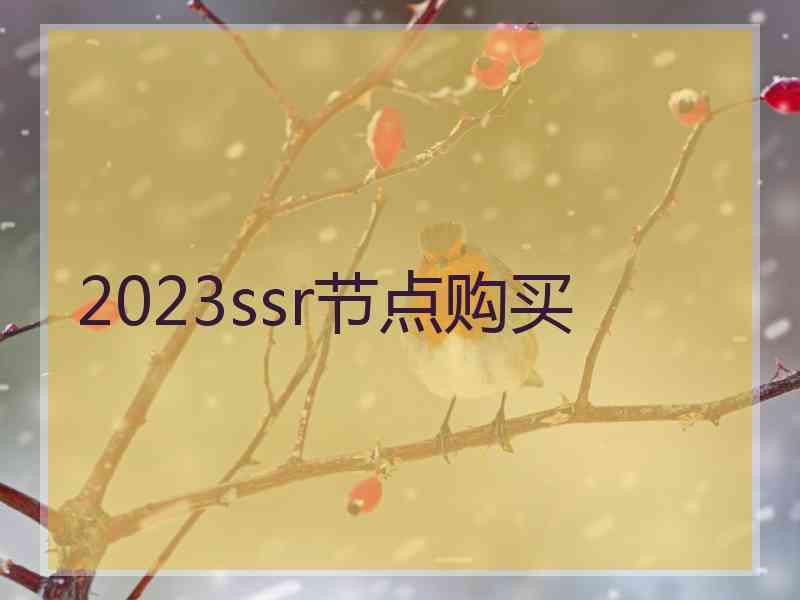 2023ssr节点购买