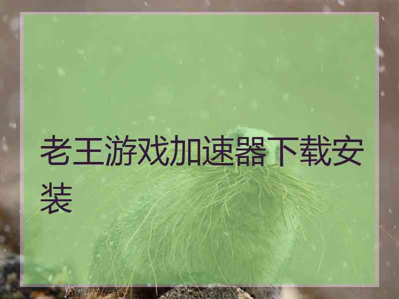 老王游戏加速器下载安装