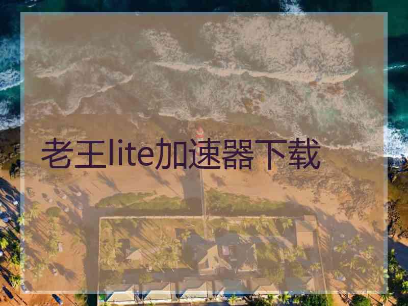 老王lite加速器下载