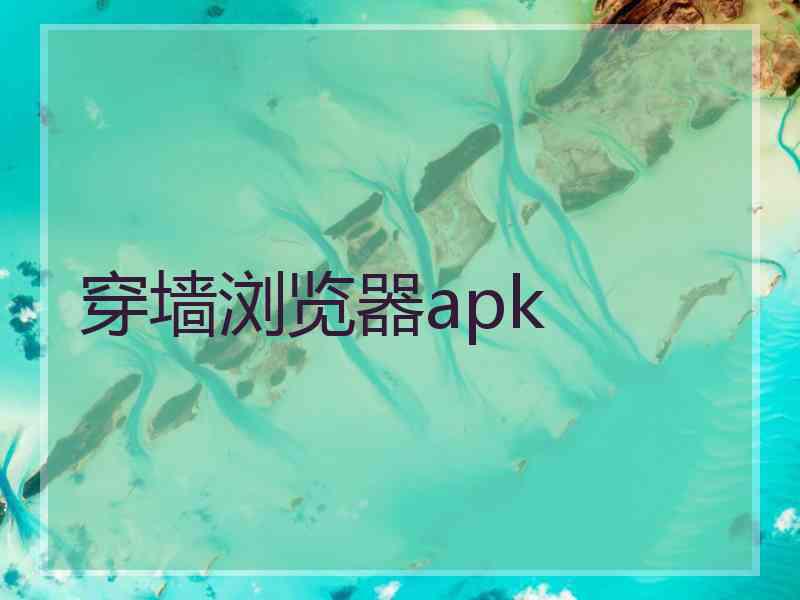 穿墙浏览器apk