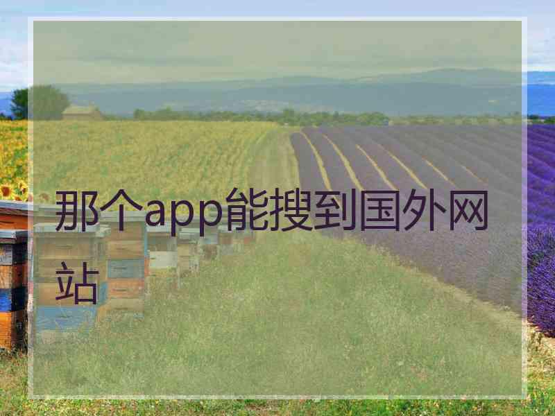 那个app能搜到国外网站