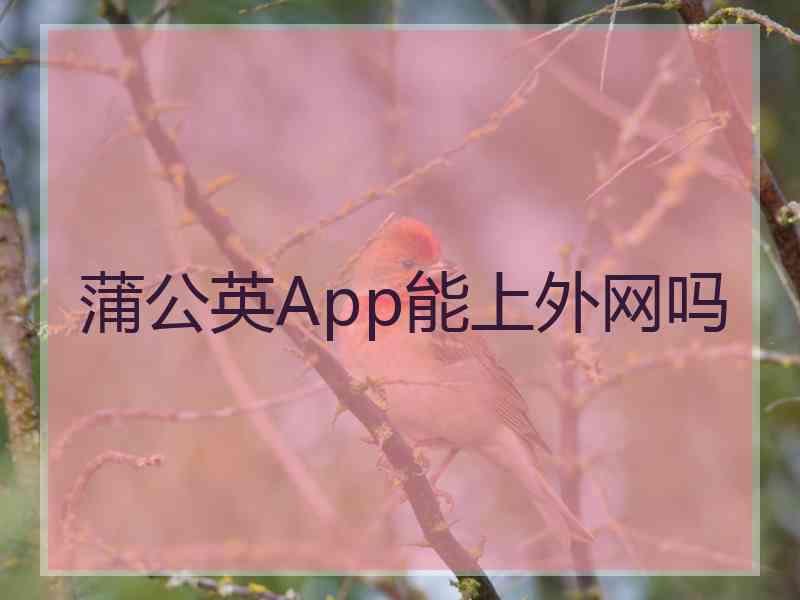 蒲公英App能上外网吗