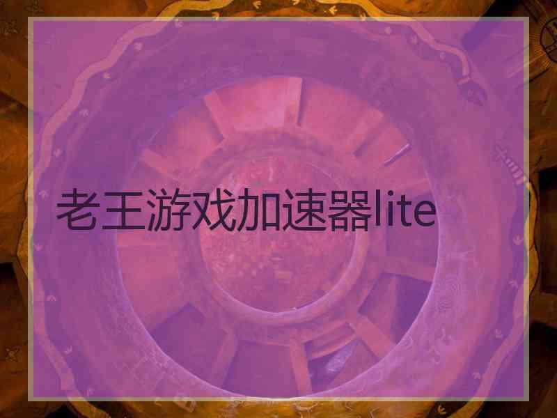 老王游戏加速器lite