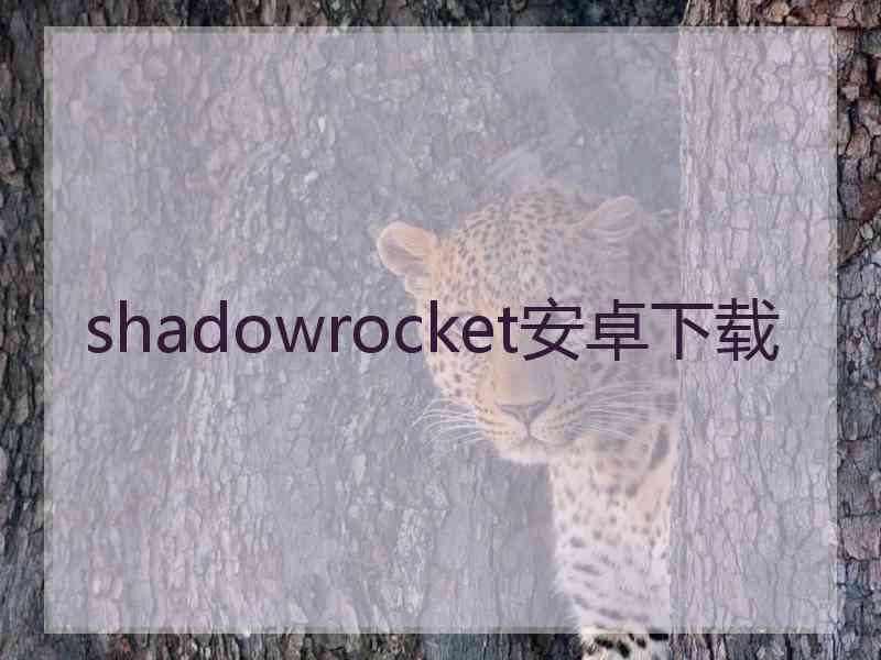 shadowrocket安卓下载