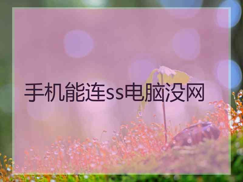 手机能连ss电脑没网