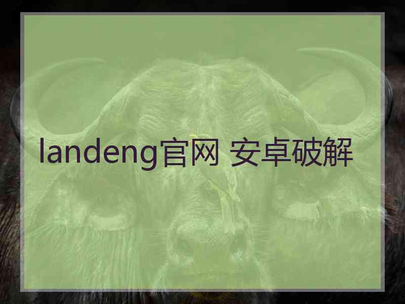 landeng官网 安卓破解