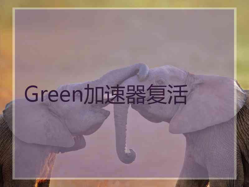 Green加速器复活