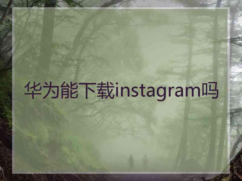 华为能下载instagram吗