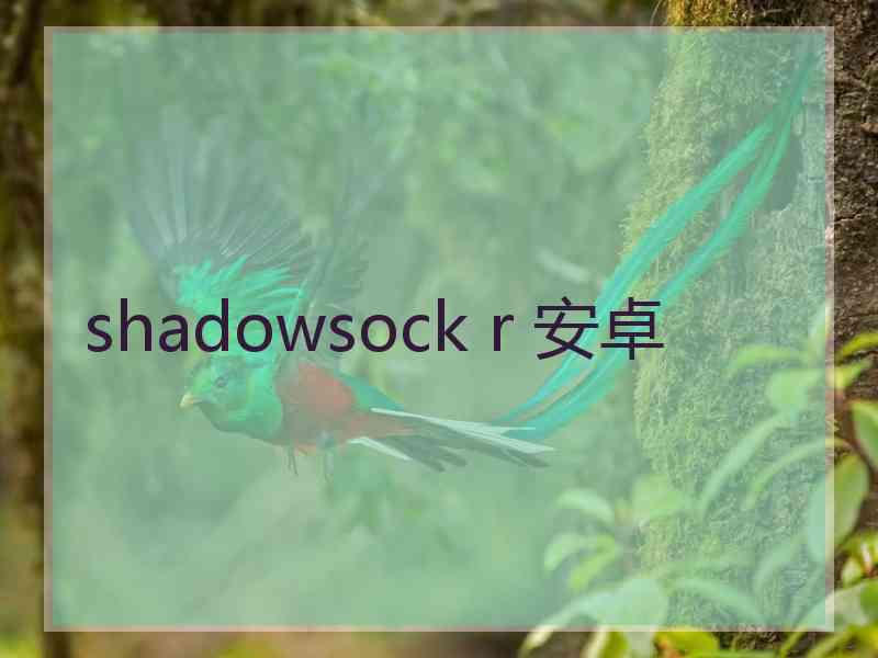 shadowsock r 安卓