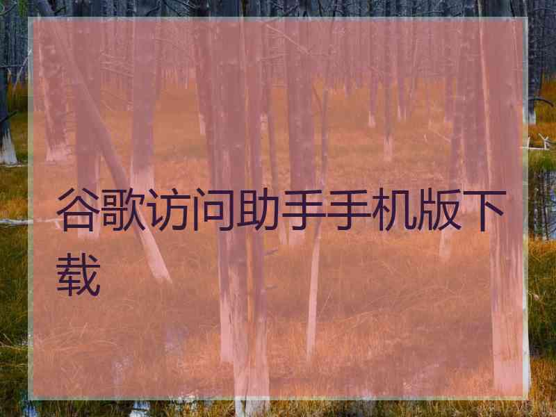 谷歌访问助手手机版下载