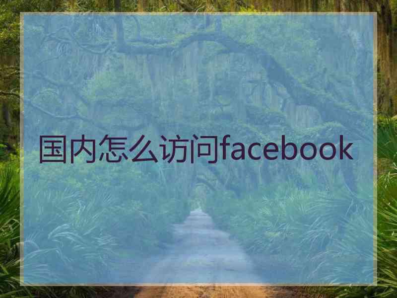 国内怎么访问facebook