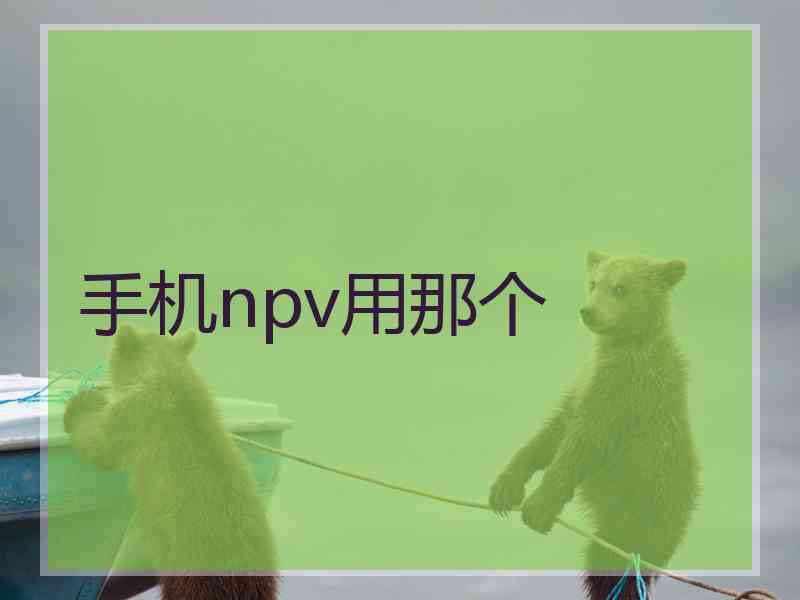 手机npv用那个