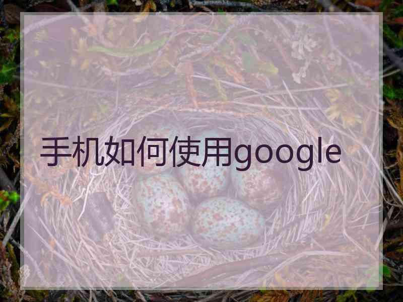 手机如何使用google