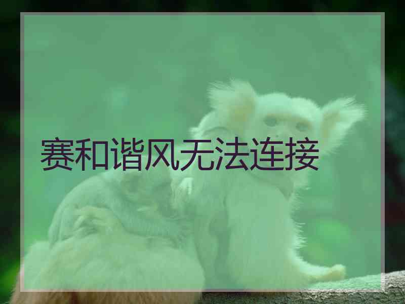 赛和谐风无法连接