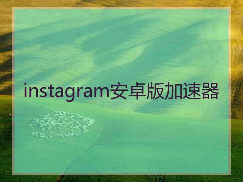 instagram安卓版加速器