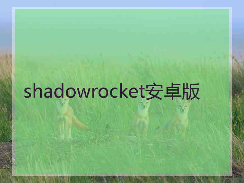 shadowrocket安卓版