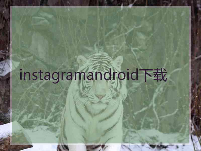 instagramandroid下载