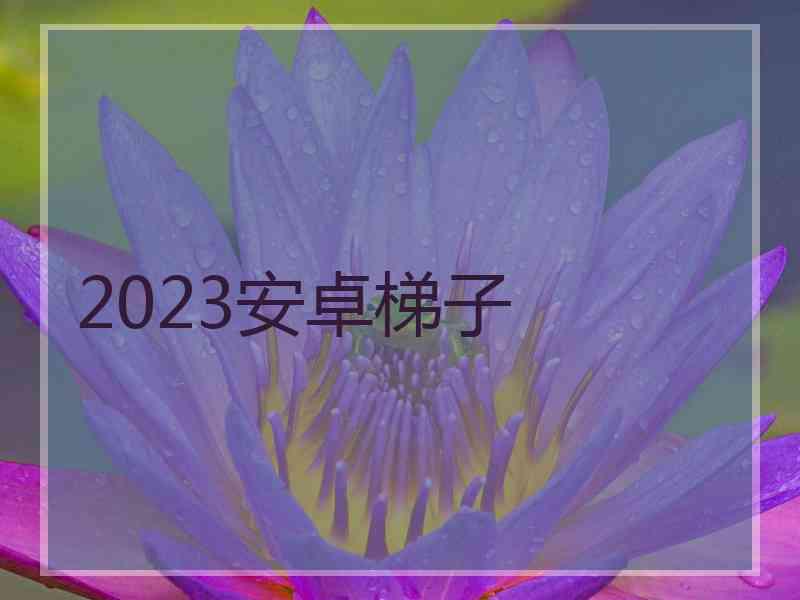 2023安卓梯子