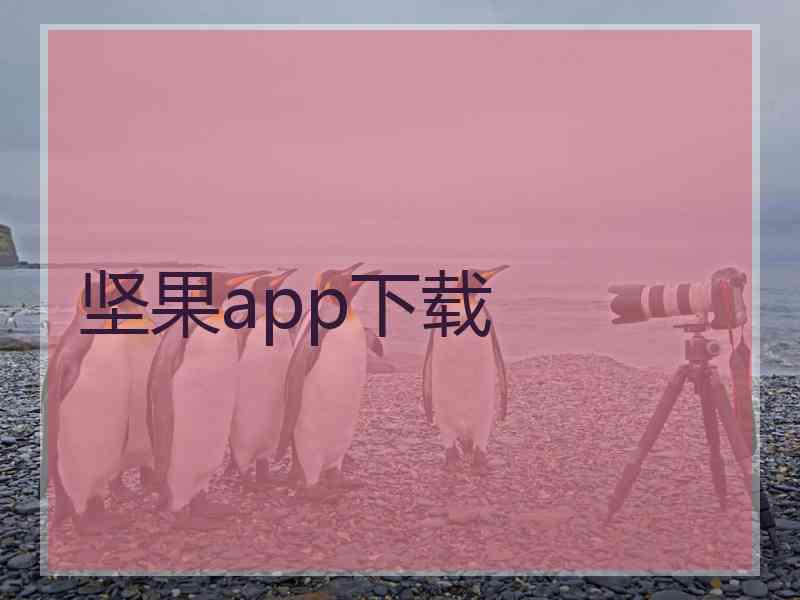 坚果app下载