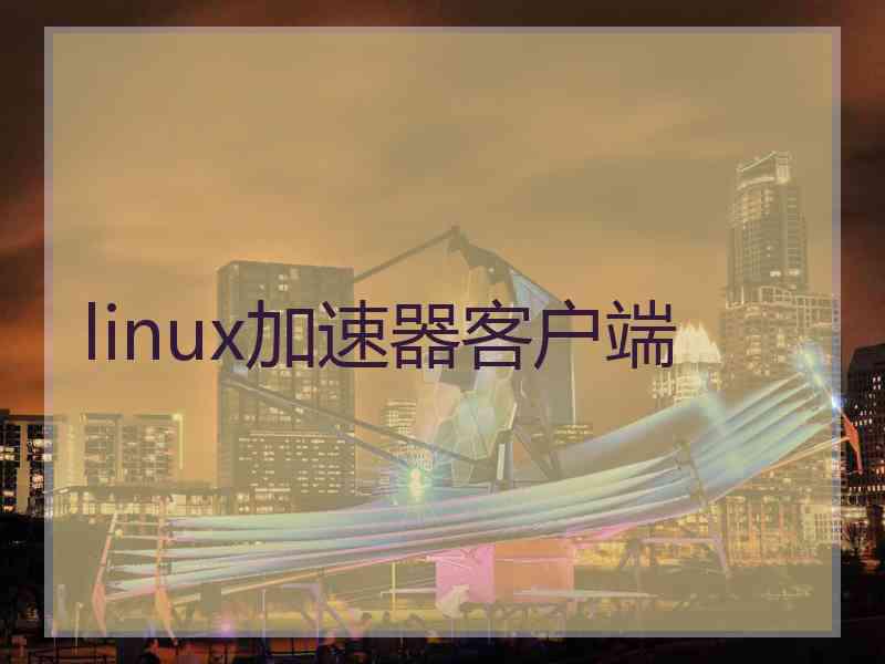 linux加速器客户端