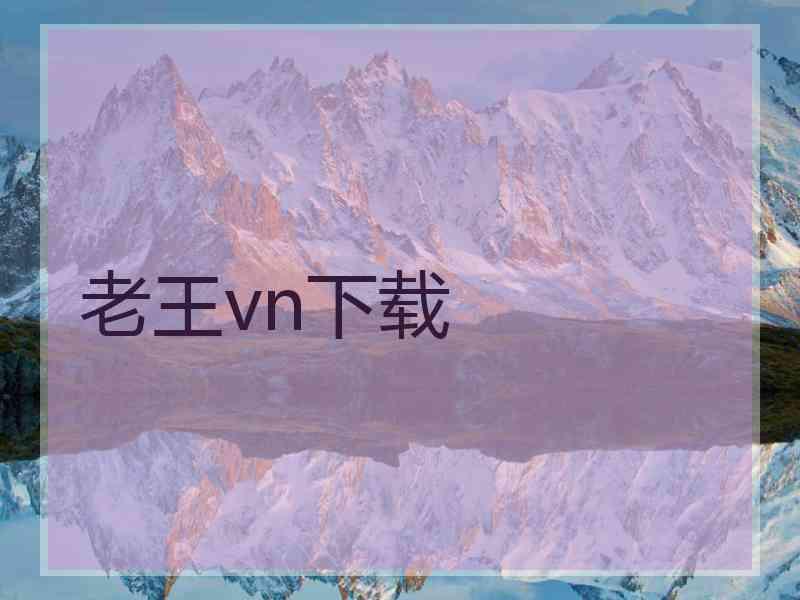 老王vn下载