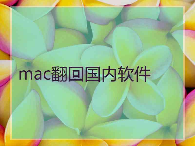 mac翻回国内软件