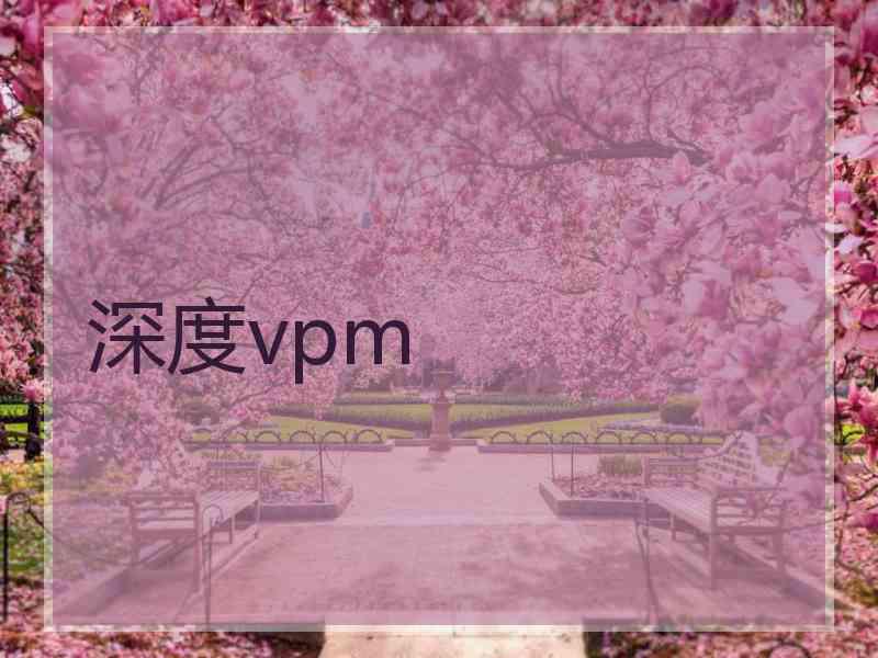 深度vpm