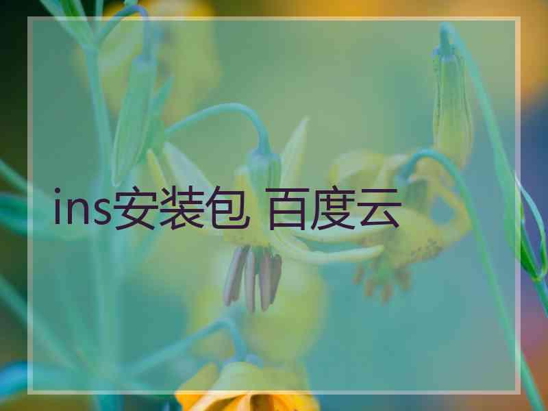 ins安装包 百度云