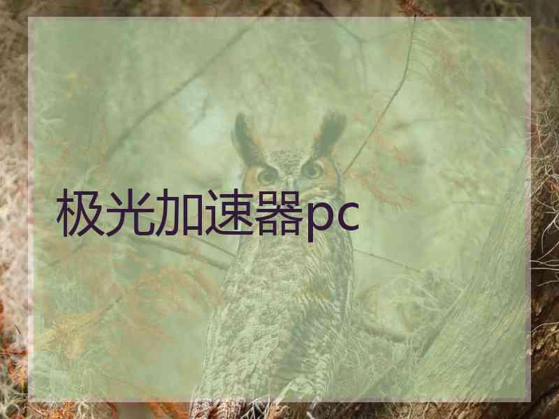 极光加速器pc