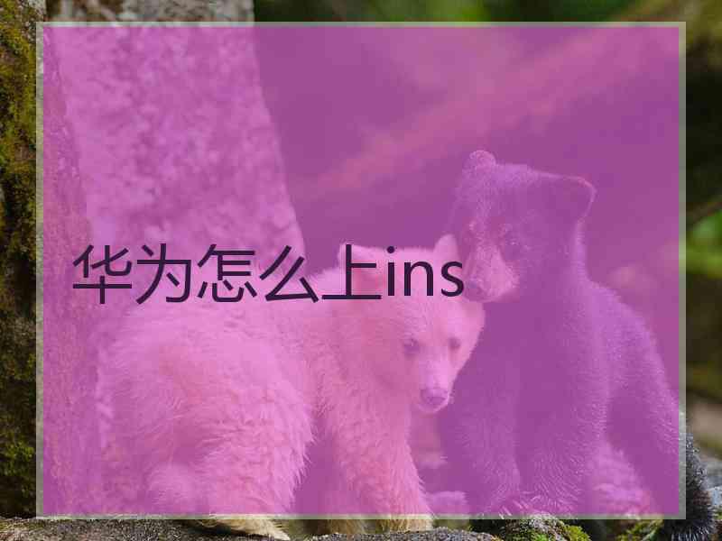 华为怎么上ins